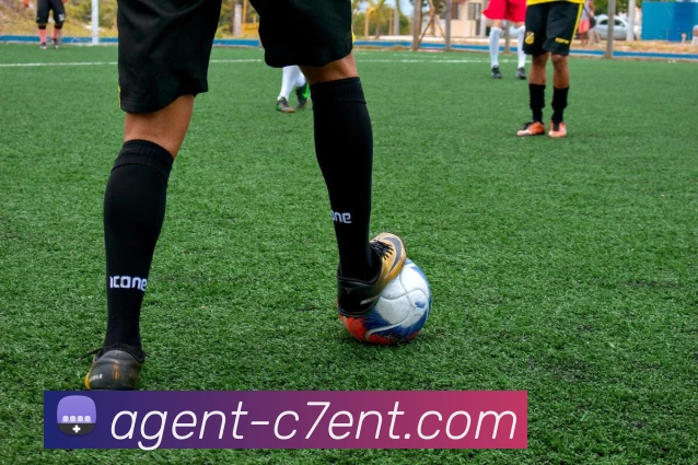 C7 YULE平台生态图